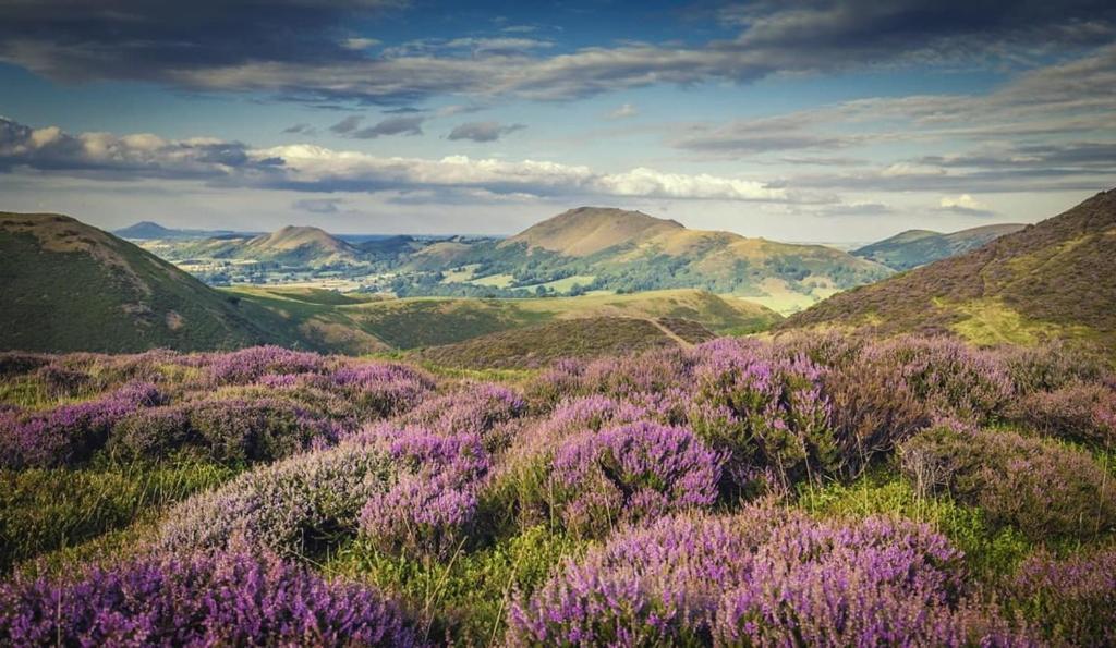 Mount Holiday home Shrewsbury